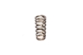 Picture of VALVE SPRING, 1.105" FORD 4.6L 4 VALVE