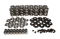 Picture of KIT, DUAL VALVE SPRING, TS, LS TYPE
