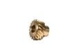 Picture of BRONZE GEAR, F60