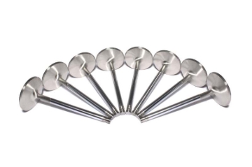 Picture of SS VALVES, BBC INT 2.300" 11/3 2+.250LONG
