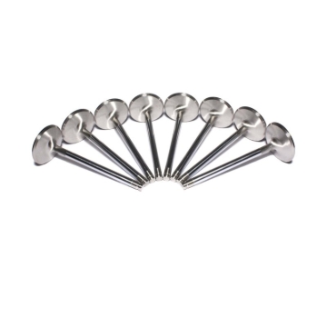 Picture of SS VALVES, LS1 INT 2.02"4.900" W/.170"TIP