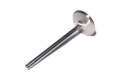 Picture of SS VALVES, LS1 INT2.055"4.900" W/.170"TIP