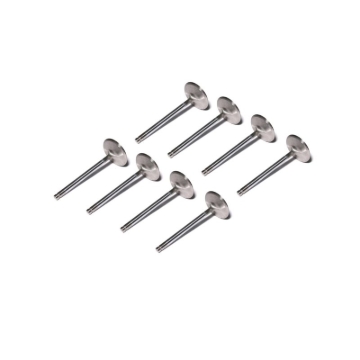 Picture of SS VALVES,LS/GENIII INT. 2.020 " X 8MM ST