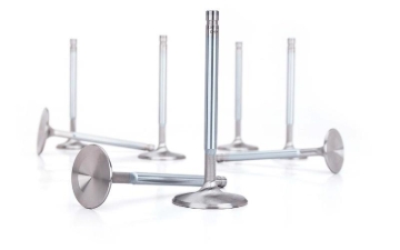 Picture of SS SOLID STEM VALVES,LS7 EXH 1 .615" X 8M