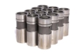 Picture of HYDRAULIC LIFTERS, FS FC FF