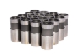 Picture of HYDRAULIC LIFTERS, FB