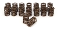 Picture of XX VALVE SPRINGS, FORD 2800CC