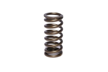 Picture of VALVE SPRING, 1.015" INNER
