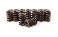 Picture of XX VALVE SPRING, 1.550" 2 SPRING ASSEMBLY