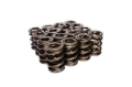 Picture of VALVE SPRINGS, 1.635" INTER-FI T