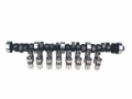 Picture of CAM & LIFTER KIT, FS 280H