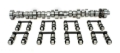 Picture of CAM & LIFTER KIT, FF 291TH R7 THUMPR