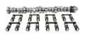Picture of CAM & LIFTER KIT, FF 299TH R7 THUMPR