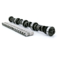 Picture of CAM & LIFTER KIT, FW XE262H-10