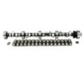 Picture of CAM & LIFTER KIT, FW 270BH-R12