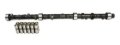 Picture of CAM & LIFTER KIT, C61 240H