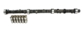 Picture of CAM & LIFTER KIT, C61 252H