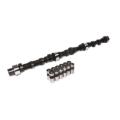 Picture of CAM & LIFTER KIT, F66 252H