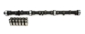 Picture of CAM & LIFTER KIT, F65 252H