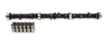 Picture of CAM & LIFTER KIT, A6 X4 262H