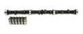 Picture of CAM & LIFTER KIT, A6 X4 262H