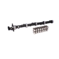 Picture of CAM & LIFTER KIT, B455 252H