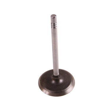 Picture of OMIX OMI Valves - 17417.03