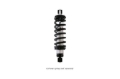 Picture of QA1 QAP Coil Shocks-Proma Star Shocks and Struts - DD302