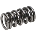 Picture of Vlv Spr Kt-Chevy LS - NexTek Sprs/Steel Ret/I.D. Loc./Mchnd Vlv Lcks/Viton Sls