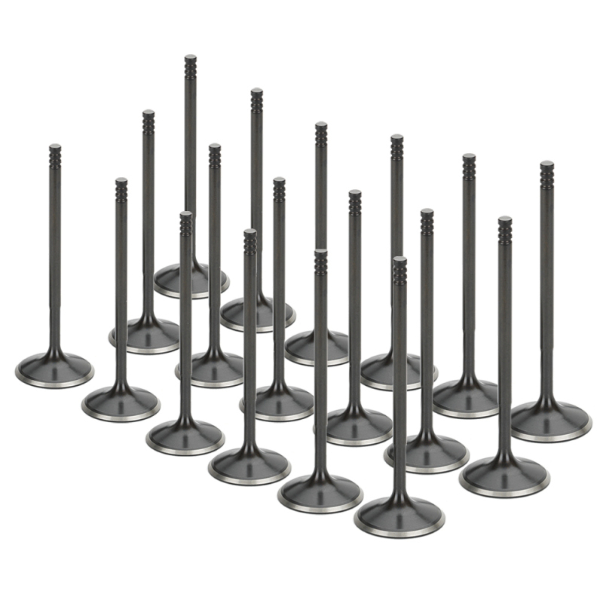 Picture of Supertech SPT Intake Valves - AIVN-1103-18