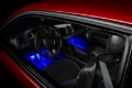 Picture of Oracle Pair 15in LED Strips Retail Pack - Blue