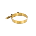 Picture of Mishimoto MM T-Bolt Clamps - MMCLAMP-3TGD