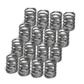 Picture of Supertech SPT Single Valve Springs Valve Springs, Retainers - SPR-TS1015-SI-16