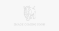 Picture of Rhino-Rack 16-20 Chevrolet Tahoe RCP Base Kit - 4 pcs