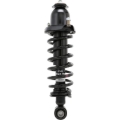 Picture of KYB Shocks & Struts Strut-Plus 05-10 Scion TC - Rear Right