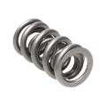 Picture of Manley Performance MAN Valve Spring Kits Valve Springs, Retainers - 221461-16