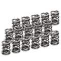 Picture of Supertech SPT Dual Valve Springs Valve Springs, Retainers - SPR-H1005D-16