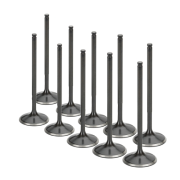 Picture of Supertech SPT Intake Valves - VWIVN-1002S-10