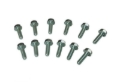 Picture of Moroso GM LS Header Bolts