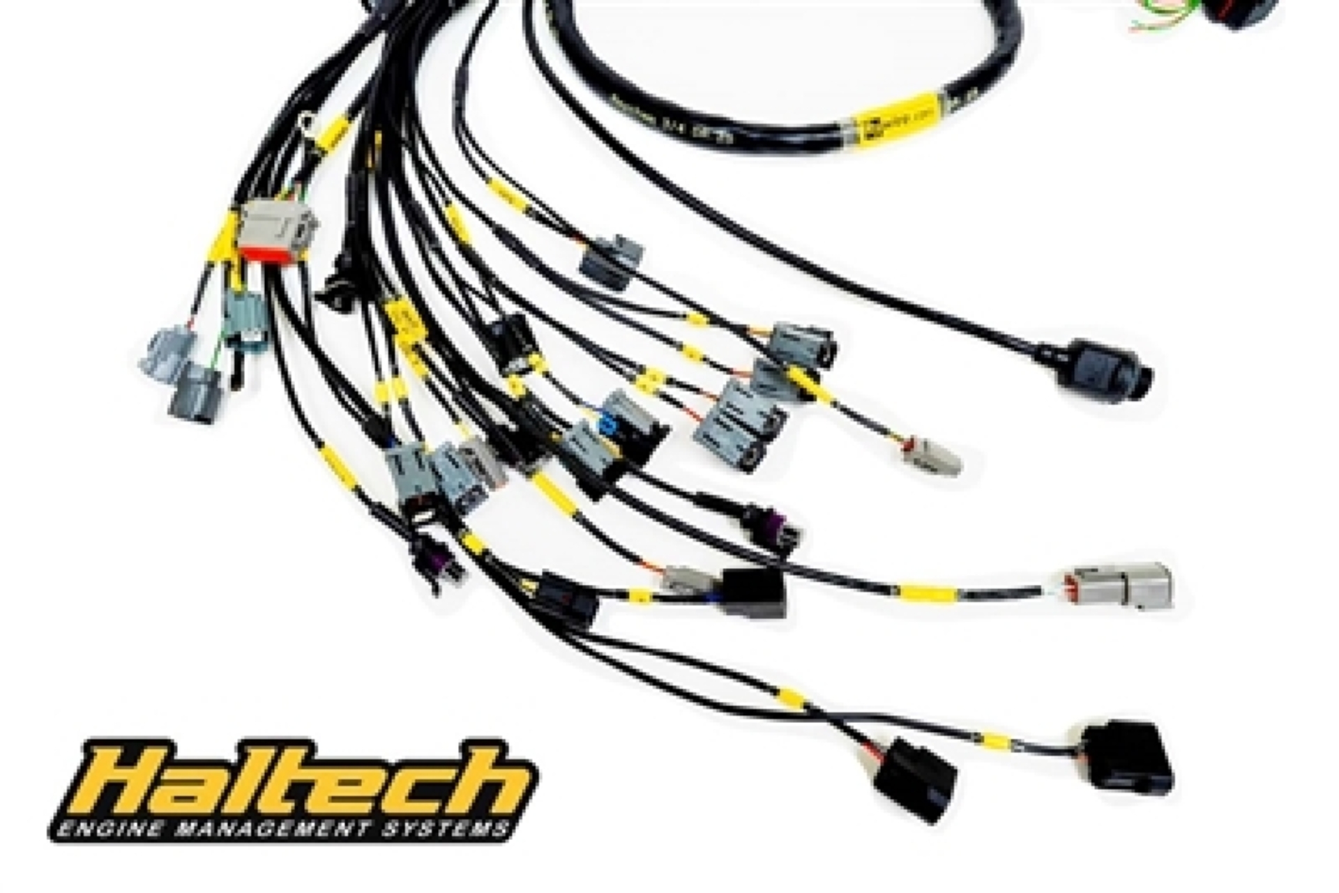 Picture of Rywire Honda K-Series (w/Haltech Elite 1500+) Eng Harn w/OBD2 Alt/EV14 Inj/AEM IAT/MAP (Adapter Req)