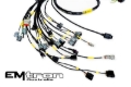 Picture of Rywire Honda K-Series (w/Emtron KV8 ECU) Eng Harness w/OBD2 Alt/EV14 Inj/AEM IAT & MAP (Adapter Req)