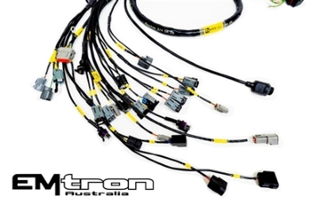 Picture of Rywire Honda K-Series (w/Emtron KV8 ECU) Eng Harness w/OBD2 Alt/EV14 Inj/AEM IAT & MAP (Adapter Req)