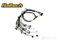 Picture of Rywire Honda B-Series (w/Haltech Elite 1500+) Eng Harn w/OBD1 Alt/EV14 Inj/AEM IAT & MAP (Adapt Req)