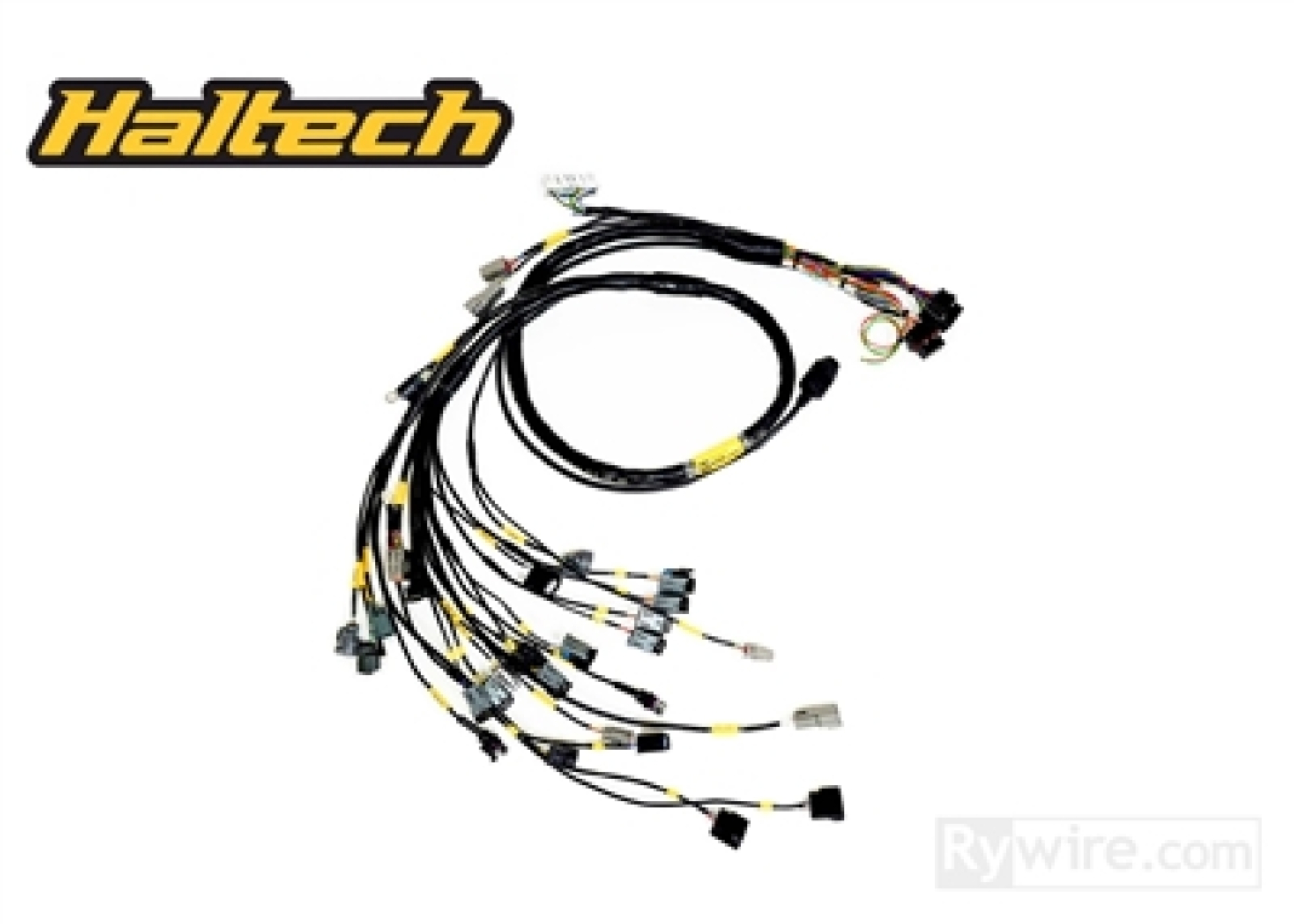 Picture of Rywire Honda B-Series (w/Haltech Elite 1500+) Eng Harn w/OBD1 Alt/EV14 Inj/AEM IAT & MAP (Adapt Req)