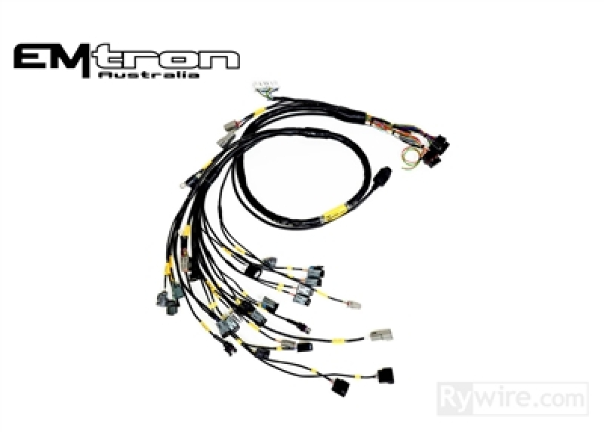 Picture of Rywire Honda B-Series (w/MTron KV8 ECU) Eng Harn w/OBD1 Alt/EV14 Inj/AEM IAT & MAP (Adapter Req)