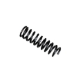 Picture of B3 OE Replacement - Coil Spring