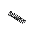 Picture of B3 OE Replacement - Coil Spring