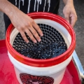 Picture of Chemical Guys Cyclone Dirt Trap Car Wash Bucket Insert - Black