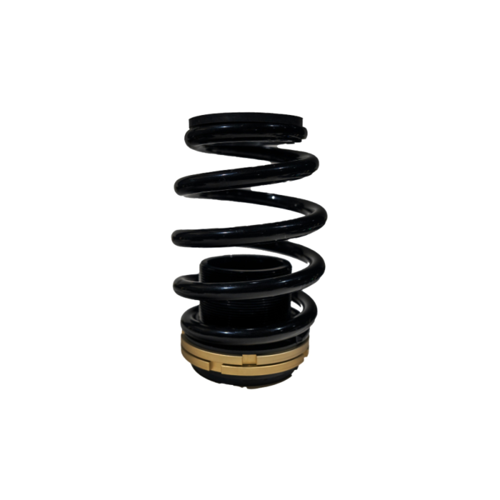 Picture of BLOX Racing 12-13 Honda Civic Si Plus Series Fully Adjustable Coilovers