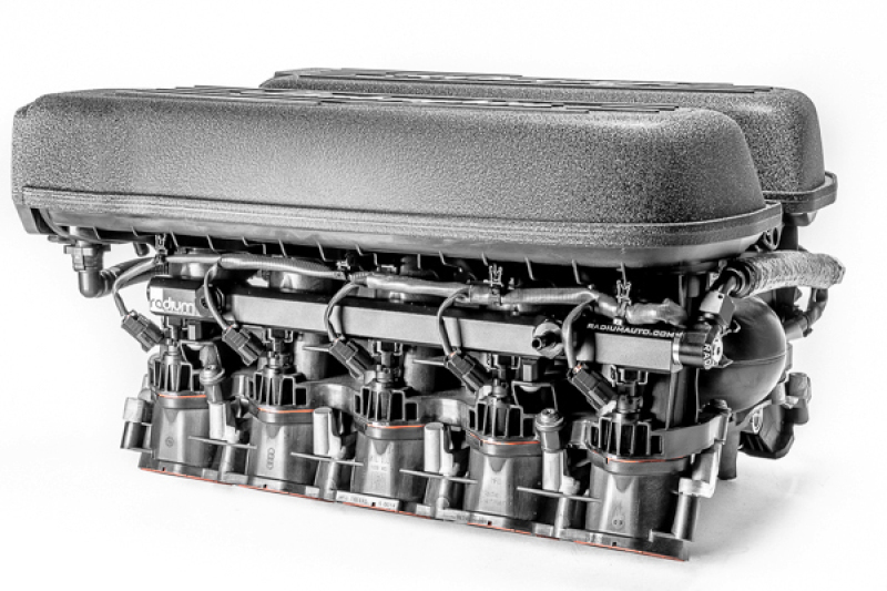 Picture of Radium Engineering RAD Fuel Rails - 20-0866-PK